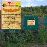 Bienenpatenschaft