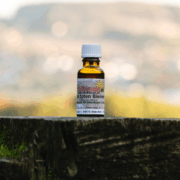 Настойка подмора пчел для внутреннего употребления